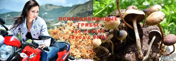 мяу мяу мука Алексин