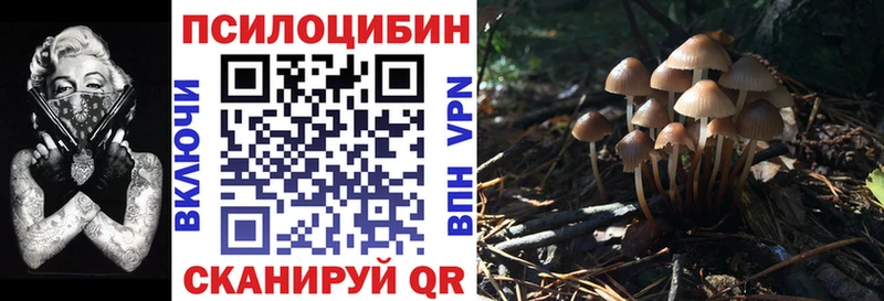 гидра   Майкоп  Псилоцибиновые грибы GOLDEN TEACHER 